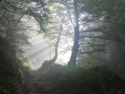 Waldspiele mit den Jägern