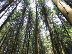 Spiele- und Abenteuerwanderung