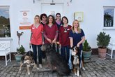 Ein Nachmittag in der Tierarztpraxis