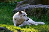 Ausflug in den Wildpark & Freizeitpark Thüle