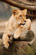 Tierpark Hamburg Hagenbeck mit Tropen-Aquarium