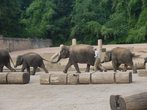 Besuch Zoo Hannover