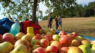 Ferienfreizeit mit der Gemeinde Röderland in Hünfelden