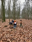 Waldprojekt