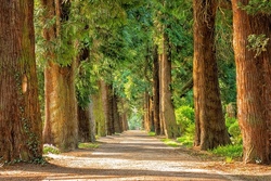 Spiel und Spaß im Wald 2