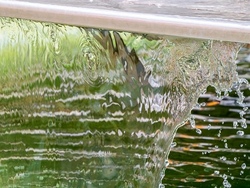 Als Wasser-Forscher unterwegs!