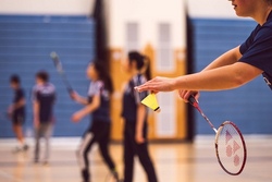 Badminton - die schnellste Ballsportart der Welt