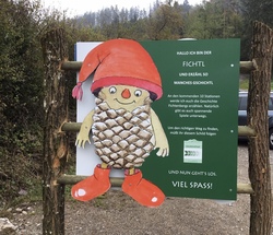 Fichtl Bachwanderung - Nass-Spass mal anders