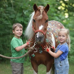 Bunter Nachmittag auf dem Ponyhof Delvenau