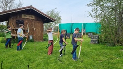 Bogenschießen, Licht und Luftdruckwaffen