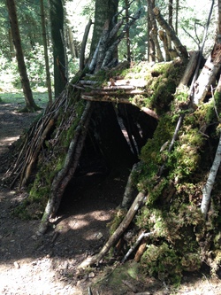 Hüttenbau im Wald 1