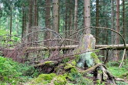 Schluchtenwanderung