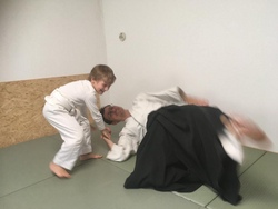 Aikido Schnupperstunde