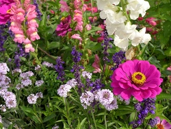 Blumenwerkstatt