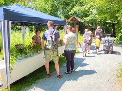 Bienen- und Kräutertag im OTTER-ZENTRUM