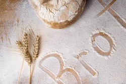 Vom Korn zum Brot