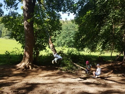 Pfingsten Wald-und erlebnispäd.programm - Anmeldung ab 16.März 18:00 Uhr