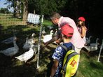 Besuch besondere Plätze mit dem BGM "Tiere"