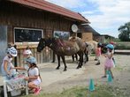 Ponyliebe Ponyhofnachmittag