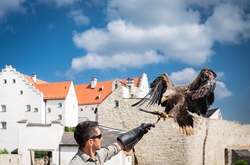 Flugvorführung Rosenburg / Riedenburg