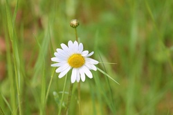 Ein Tag für Naturentdecker