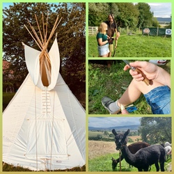 Mit den Alpakas reisen wir in die Native-Zeit im Haus der Möglichkeiten