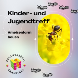 Experimentieren und Ameisenfarm bauen im Offenen Kinder- und Jugendtreff