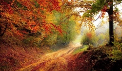 Waldtag