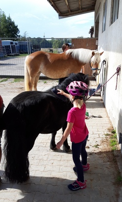 Ponyreiten (1)