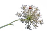 Spurensuche im Wald