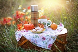 Sommer-Picknick