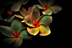 Millefiori
