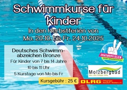 Deutsches Schwimmabzeichen Bronze Herbst
