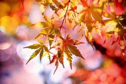 Herbstfreizeit in Heisterberg