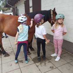 Reitsportclub Pegasus