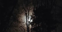 "Dunkel wars, der Mond schien helle..."