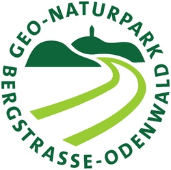 Spiele im Wald
