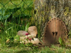 Fairydoor/ Wichteltür aus Holz