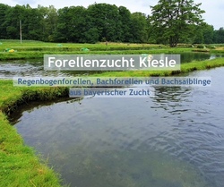 Forellenzucht Kiesle- Betriebsführung