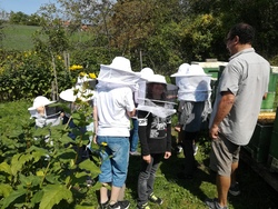 Ein Nachmittag bei den Bienen