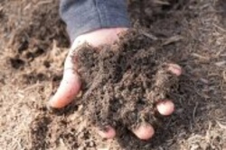 Lebensraum Erde: Wozu hat der Gartenboden Löcher? Lebensraum Erde: Wozu hat der Gartenboden Löcher?