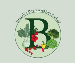 Gemüse- und Beerenhof Karl Brandl- Betriebsführung