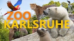 Ein tierisch toller Tag im Zoo