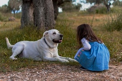 Kind und Hund