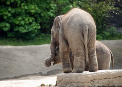 Fahrt zum Tierpark Hagenbeck