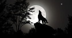 Werwolf Spiel