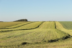Natur trifft Fantasie: Basteln mit Heu