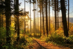 Wildnisabenteuer