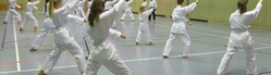 Cuong Nhu Karate - Schnuppertraining