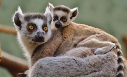 Tierpark Jaderberg